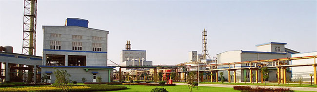 2012022510532369.jpg